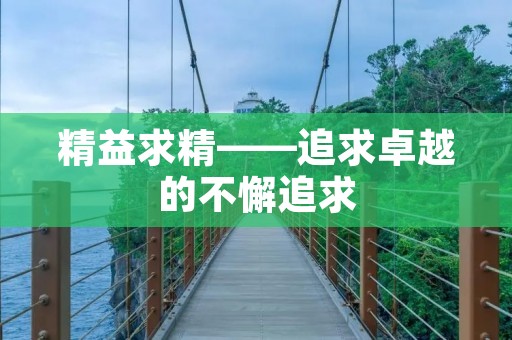 精益求精——追求卓越的不懈追求