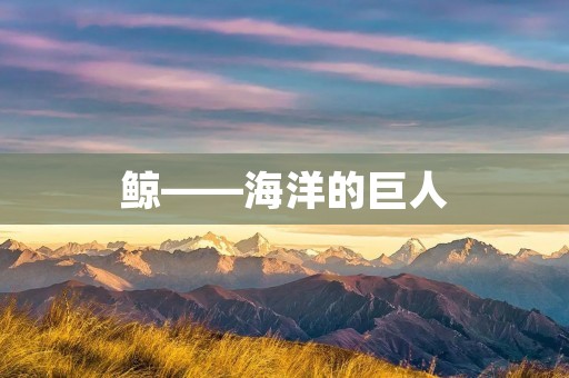 鲸——海洋的巨人