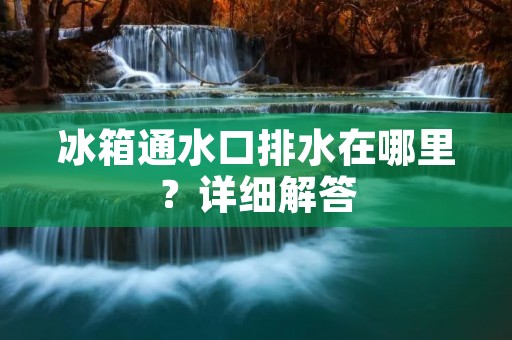 冰箱通水口排水在哪里？详细解答