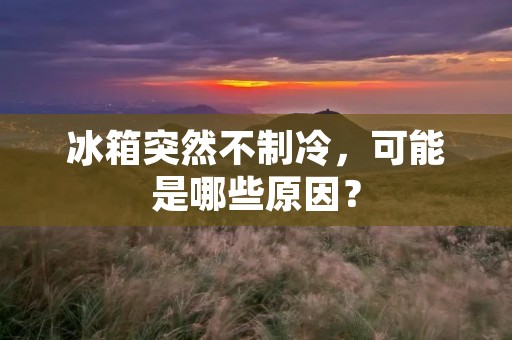 冰箱突然不制冷,可能是哪些原因? 冰箱突然不制冷,可能是哪些原因?
