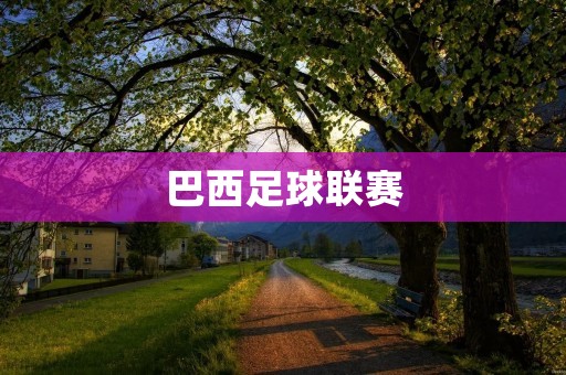 巴西足球联赛：南美洲最激烈的足球盛宴