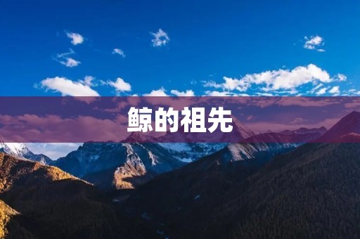 鲸的祖先:从陆地走向海洋的演化之路 鲸的祖先:从陆地走向海洋的演化之路