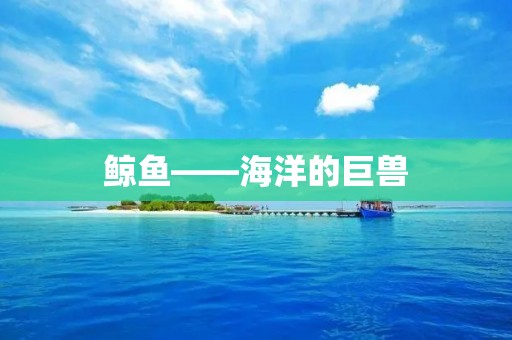 鲸鱼——海洋的巨兽 鲸鱼——海洋的巨兽