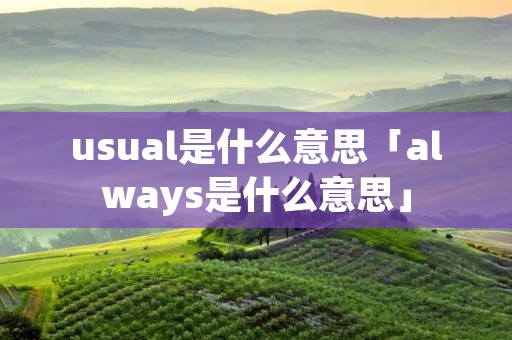 usual是什么意思「always是什么意思」