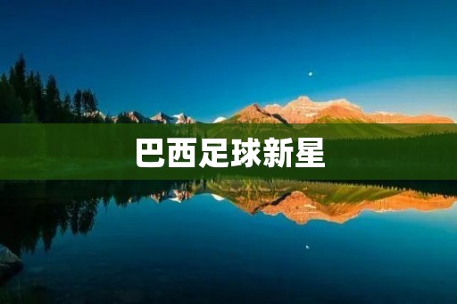巴西足球新星：维尼修斯，成为世界舞台上的瞩目之星