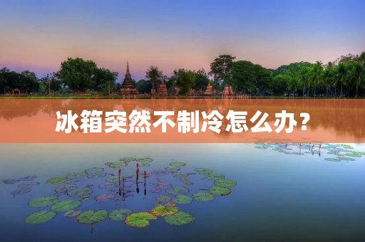 冰箱突然不制冷怎么办? 冰箱突然不制冷怎么办?