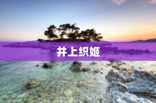 井上织姬:银魂中的不朽传说 井上织姬:银魂中的不朽传说