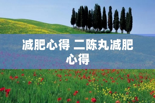 减肥心得 二陈丸减肥心得