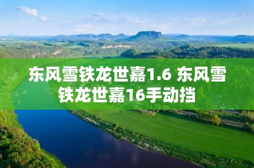 东风雪铁龙世嘉1.6 东风雪铁龙世嘉16手动挡 东风雪铁龙世嘉1.6 东风雪铁龙世嘉16手动挡