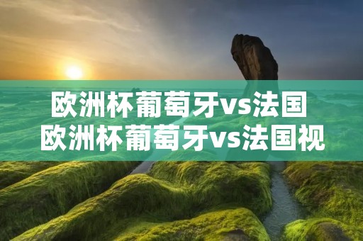 欧洲杯葡萄牙vs法国 欧洲杯葡萄牙vs法国视频2021