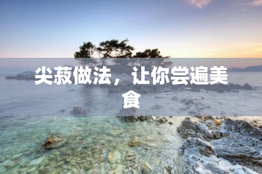 尖菽做法，让你尝遍美食