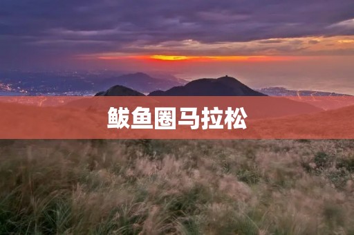 鲅鱼圈马拉松:一场让人心驰神往的盛宴 鲅鱼圈马拉松:一场让人心驰神往的盛宴