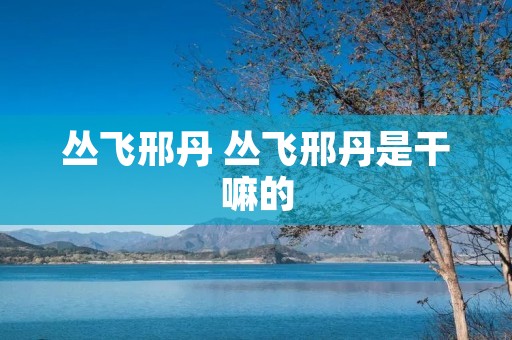 丛飞邢丹 丛飞邢丹是干嘛的