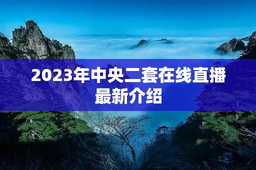 2023年中央二套在线直播最新介绍 2023年中央二套在线直播最新介绍