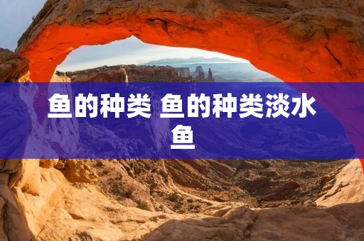 鱼的种类 鱼的种类淡水鱼