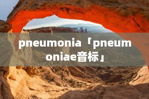 pneumonia「pneumoniae音标」