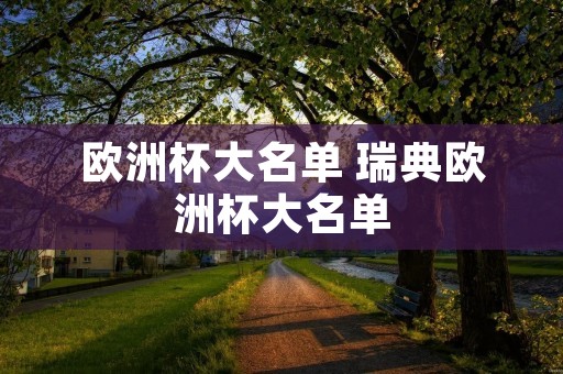 欧洲杯大名单 瑞典欧洲杯大名单
