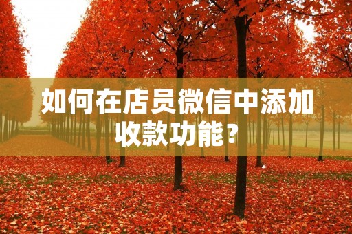 如何在店员微信中添加收款功能?
