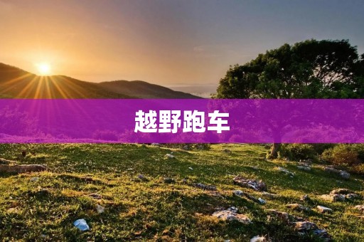 越野跑车:挑战极限的驾驶体验 越野跑车:挑战极限的驾驶体验