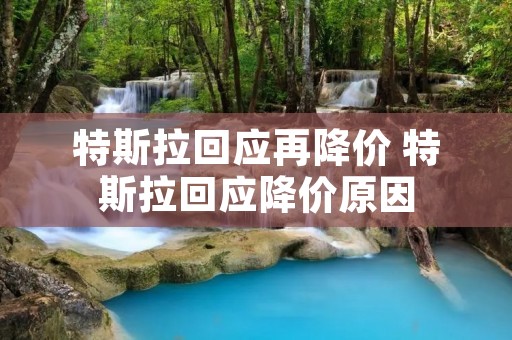特斯拉回应再降价 特斯拉回应降价原因 特斯拉回应再降价 特斯拉回应降价原因