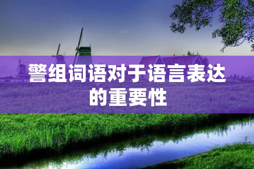 警组词语对于语言表达的重要性 警组词语对于语言表达的重要性