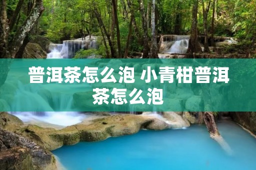 普洱茶怎么泡 小青柑普洱茶怎么泡 普洱茶怎么泡 小青柑普洱茶怎么泡