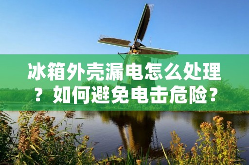 冰箱外壳漏电怎么处理?如何避免电击危险? 冰箱外壳漏电怎么处理?如何避免电击危险?