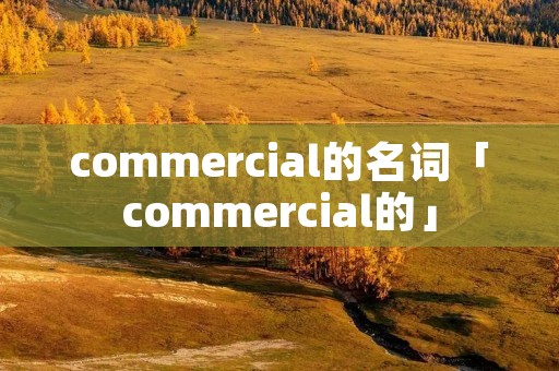 commercial的名词「commercial的」