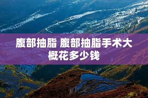 腹部抽脂 腹部抽脂手术大概花多少钱