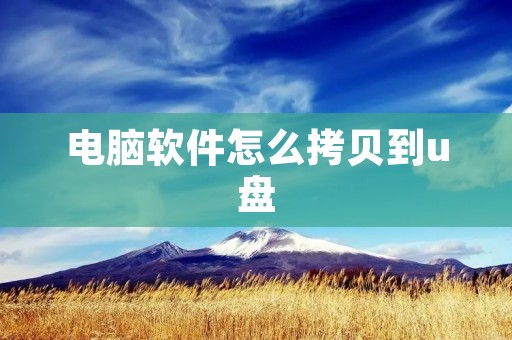 电脑软件怎么拷贝到u盘