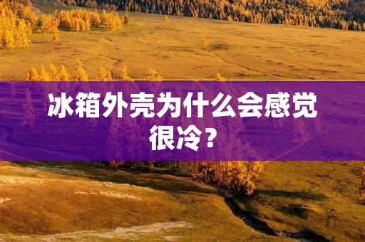 冰箱外壳为什么会感觉很冷? 冰箱外壳为什么会感觉很冷?