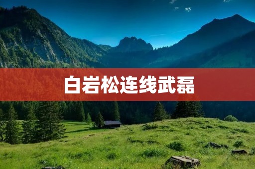 白岩松连线武磊：聊聊中国足球的现状