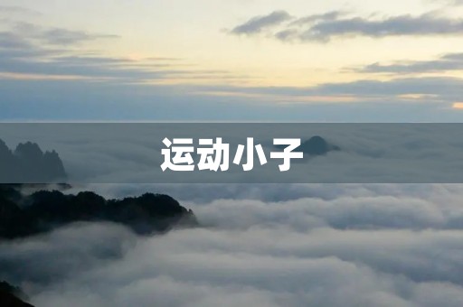 运动小子：从热爱到成长