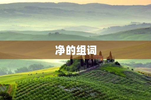 净的组词：净化、净水、净化器、净空、净土、净化剂、净化设备、净化工程、净化技术、净化系统、净化效果、净化空气、净化环境、净化液、净化液体、净化原理、净化工艺、净化能力、净化标准