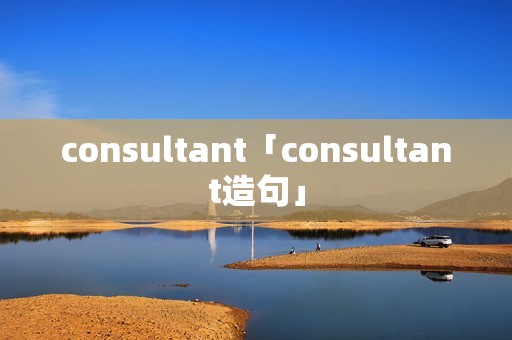 consultant「consultant造句」