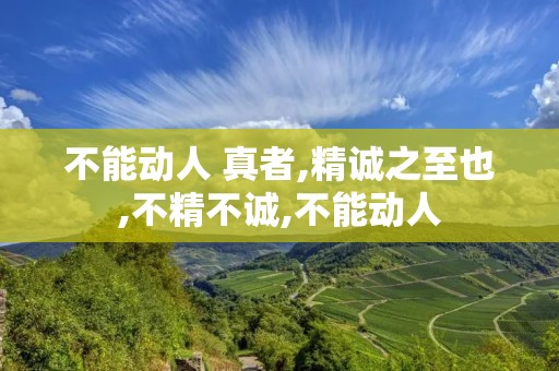 不能动人 真者,精诚之至也,不精不诚,不能动人