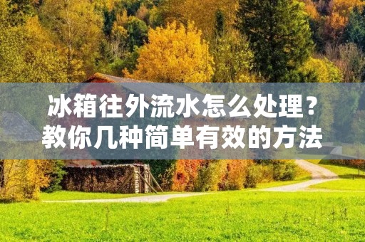 冰箱往外流水怎么处理?教你几种简单有效的方法 冰箱往外流水怎么处理?教你几种简单有效的方法