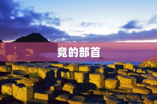 竟的部首:穴 竟的部首:穴
