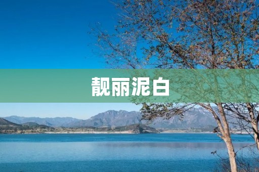 靓丽泥白:一种独特的装饰色彩 靓丽泥白:一种独特的装饰色彩