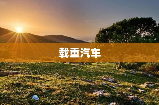 载重汽车：重载运输的支柱