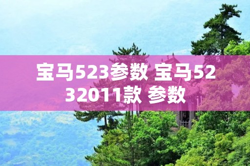 宝马523参数 宝马5232011款 参数