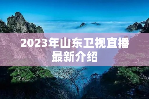 2023年山东卫视直播最新介绍