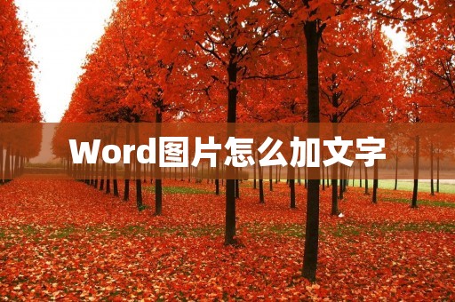 Word图片怎么加文字:详细教程