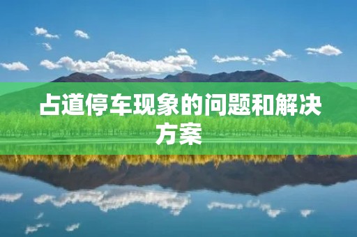 占道停车现象的问题和解决方案 占道停车现象的问题和解决方案