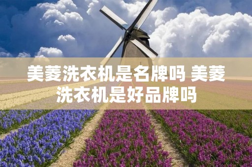 美菱洗衣机是名牌吗 美菱洗衣机是好品牌吗 美菱洗衣机是名牌吗 美菱洗衣机是好品牌吗