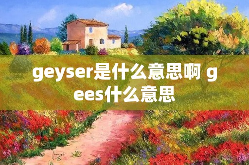 geyser是什么意思啊 gees什么意思 geyser是什么意思啊 gees什么意思