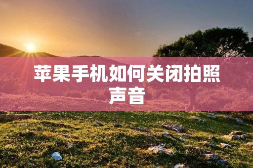 苹果手机如何关闭拍照声音
