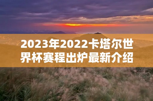 2023年2022卡塔尔世界杯赛程出炉最新介绍