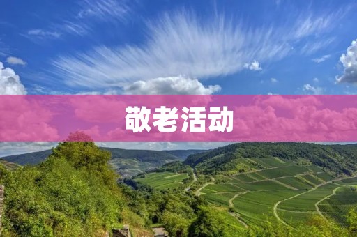敬老活动:传承美德,关爱长者 敬老活动:传承美德,关爱长者