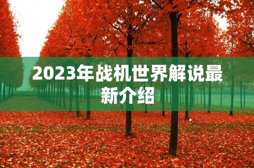 2023年战机世界解说最新介绍